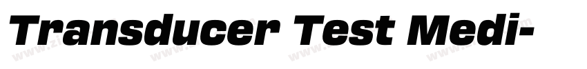 Transducer Test Medi字体转换